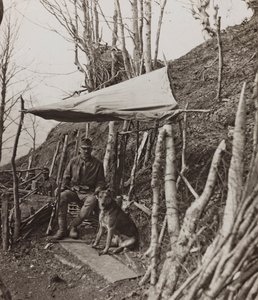 Álbum "Meine weltkriegs - Erinnerungen South-West Front (Carintia, Italia, Tirol del Sur) 31/03/1915-12/11/1918 - Josef Zohles Wien": perro militar bajo una tienda