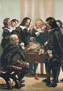 William Harvey demostrando la circulación de la sangre de Josep or Jose Planella Coromina