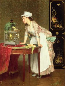 Los Canarios Amarillos de Joseph Caraud