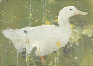 El pato blanco de Joseph Crawhall