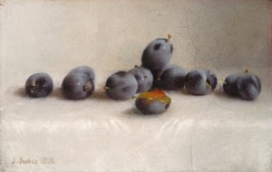 doce ciruelas de Joseph Decker