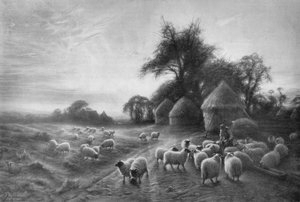 Ovejas alimentándose de Joseph Farquharson