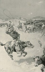 Reunión de ganado en Queensland de Joseph Finnemore