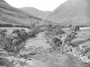 Un arroyo atraviesa el paisaje de Wastwater