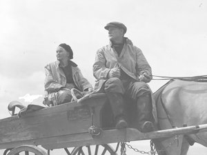 Marido y mujer sentados en un carro de gallos de Joseph Hardman