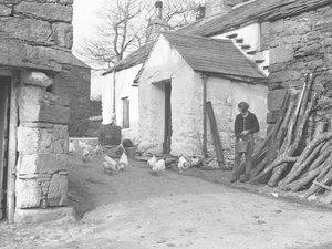 Land Girl alimentando aves de corral en una granja de Ulpha en los Duddon Fells