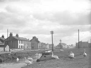Calle en Allonby con cisnes y arroyo de Joseph Hardman