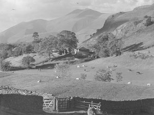 Vista a través de los campos a la granja en Thirlmere con ovejas y vacas