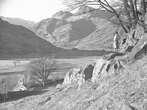 Mujer de pie sobre las rocas bajo un árbol mirando a la vista de Langdale Fells