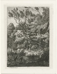 vista al bosque de Joseph Hartogensis