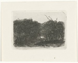 vista al bosque de Joseph Hartogensis