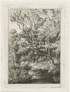 vista al bosque de Joseph Hartogensis