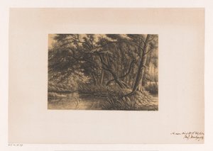 Paisaje forestal con pantanos de Joseph Hartogensis