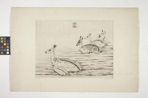 Cerfs Indochinois I (Ciervos Indochinos I) (grabado sobre papel tejido crema)