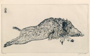 Jabalí (Le Sanglier) (grabado) de Joseph Hecht