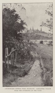 Churchyard Bottom Wood, Highgate, Alexandra Palace desde las afueras del bosque de Joseph Holland Tringham