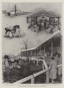 Venta de caballos Shire en la granja del Príncipe de Gales, Wolferton de Joseph Holland Tringham