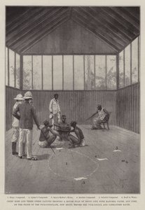 La expedición de Benín de Joseph Holland Tringham