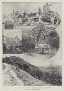 La sugerida clausura de Box Hill de Joseph Holland Tringham