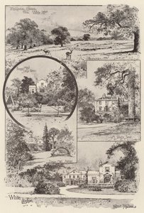 White Lodge