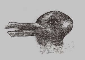 Ilusión pato-conejo. De: Jastrow, J. El ojo de la mente. Popular Science Monthly, 1899 de Joseph Jastrow