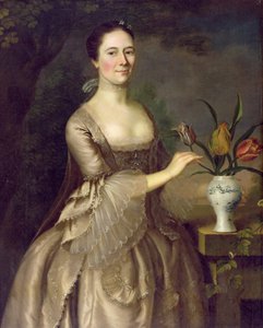 Retrato de una mujer (llamada Sra. Davenport) c.1762 de Joseph Jonathan Blackburn