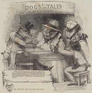 El Perro Desafortunado contando su Historia