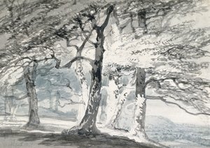 Parque Norbury, Surrey de Joseph Mallord William (attr.to) Turner