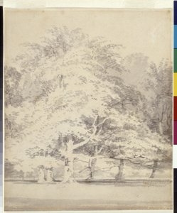 Hayas (tinta gris lavada sobre lápiz sobre papel blanco) de Joseph Mallord William Turner