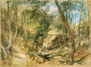 PD.50-1958 El Paseo de Madera, Farnley Hall de Joseph Mallord William Turner