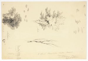 Bocetos de olmos y fresnos de Joseph Mallord William Turner