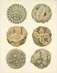Piedras de bóveda (bosses) en el techo de la Iglesia de Redcliffe de Joseph Manning