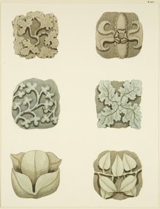 Piedras de bóveda en el techo de St Mary Redcliffe de Joseph Manning