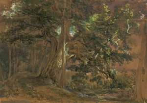 Interior del bosque cerca de Lundenburg (grupo de arce en un lago de montaña) de Joseph Martin Höger