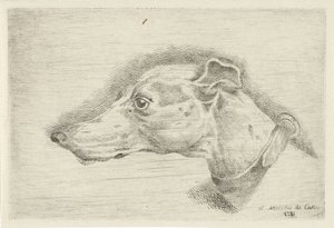 cabeza de un galgo de Joseph Mendes da Costa