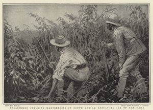 Ingleses acechando Hartebeeste en Sudáfrica, resultado, huida del juego