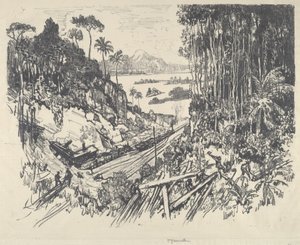 La Jungla