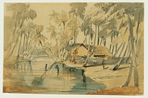 Palmeral en Ceilán (Sri Lanka) de Joseph Selleny