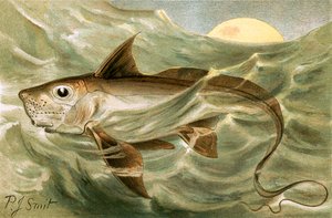 Quimera de Joseph Smit