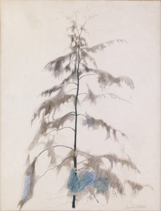 Pino de Joseph Stella