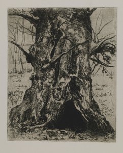 Sin título--Tronco de árbol de Joseph Stella