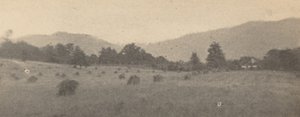 Paisaje con árboles y montañas,c. 1900 (foto)