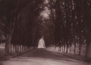 Camino de entrada, Château de Grand-Vaux, Savigny-sur-Orge, la casa familiar de Vigier,c. 1855 (foto) de Joseph Vigier