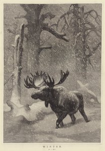 Invierno