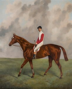 Sir Hugo-Ganador del Derby de 1892, c.1892 (óleo sobre lienzo) de Joshua Dighton