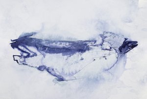 Resumen: El pájaro azul