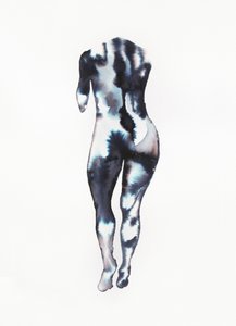Estudio del cuerpo de fluidos