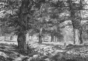 En el Bosque de Sherwood, c. 1875
