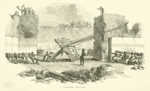 Bajando el toro de Josiah Wood Whymper