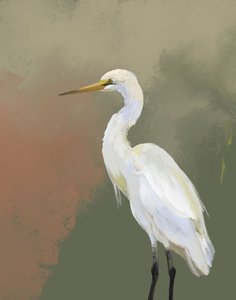 Elegante retrato de una garza de Josie George